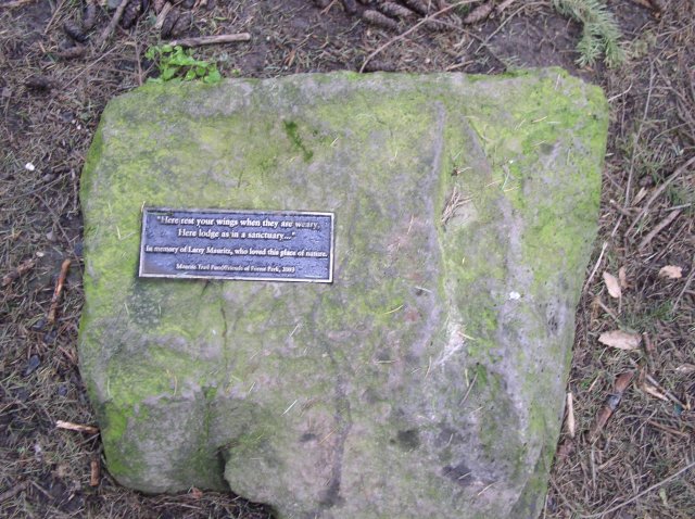 4.1.06 Dogwood & Alder Trail in Forest Park 031 